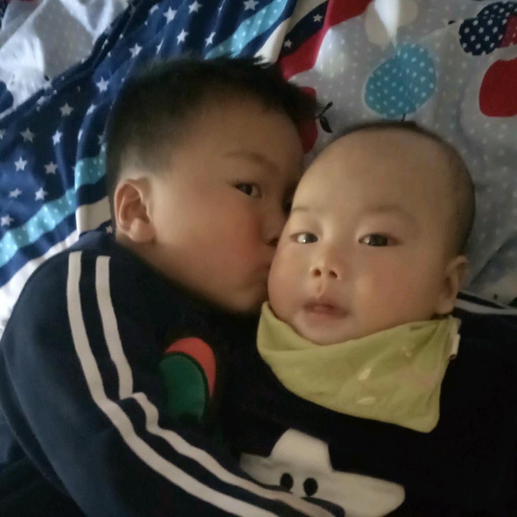 戴戴