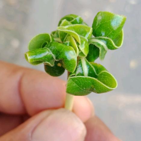 谁能改变我的命？