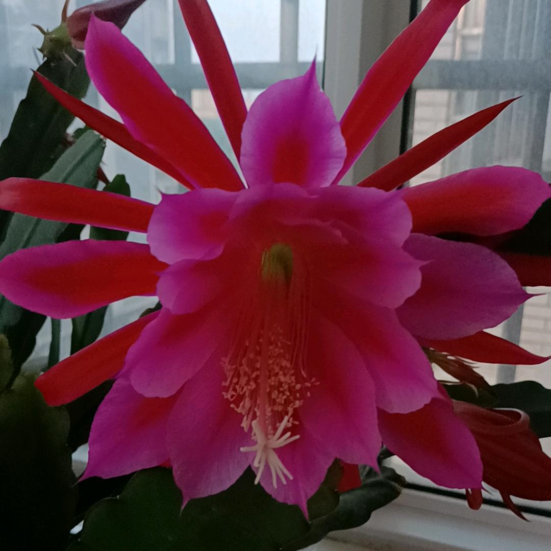 何其有幸，，