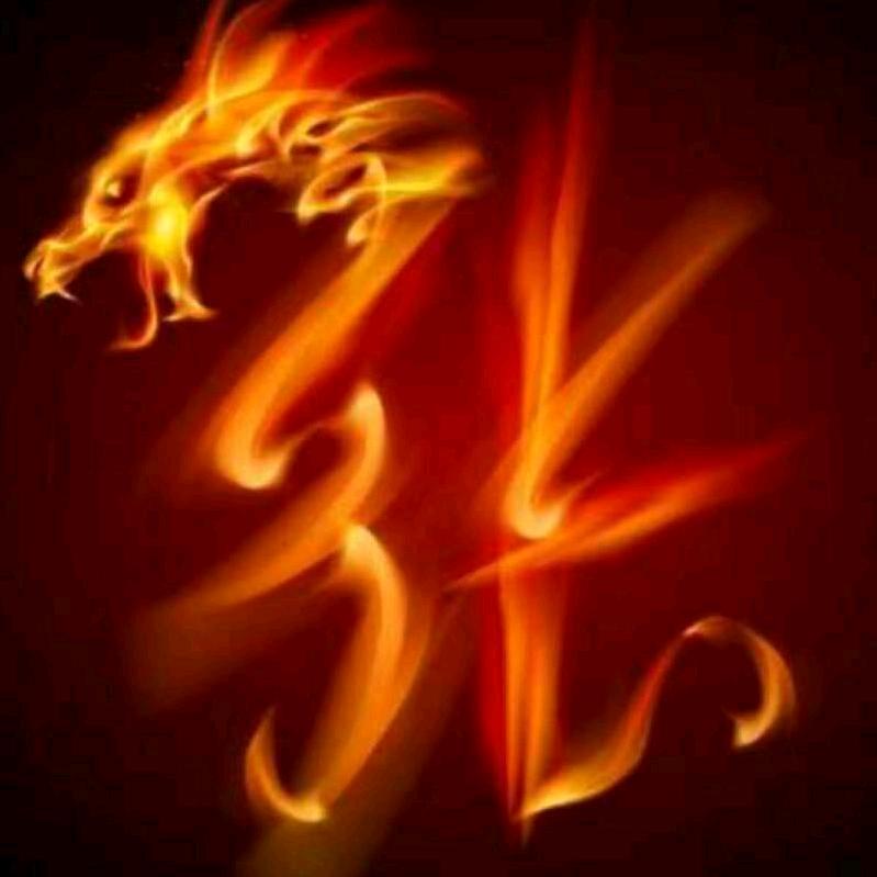 ☞社会╭(╯ε╰)╮不惯人☜