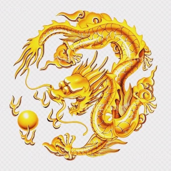我 屬 龍