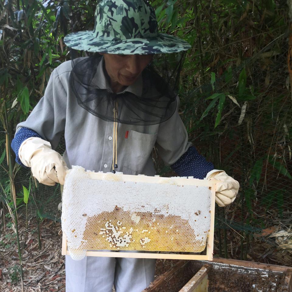 延有蜂蜜