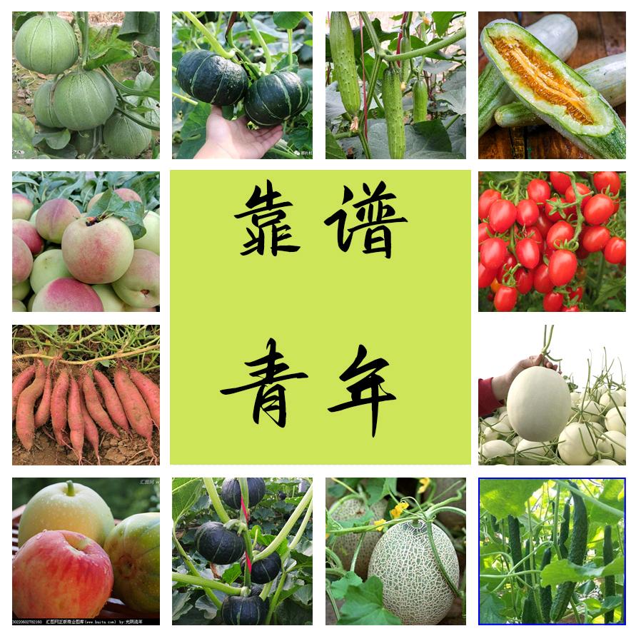 寿光市靠谱小青年（源头农业）