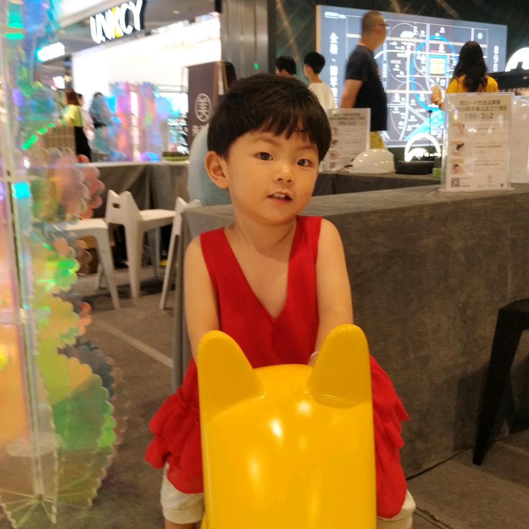 诗意