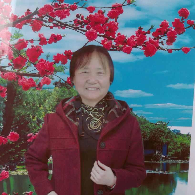 茉莉花
