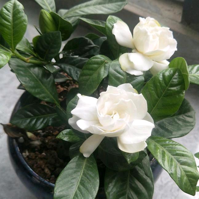 戒掉想你