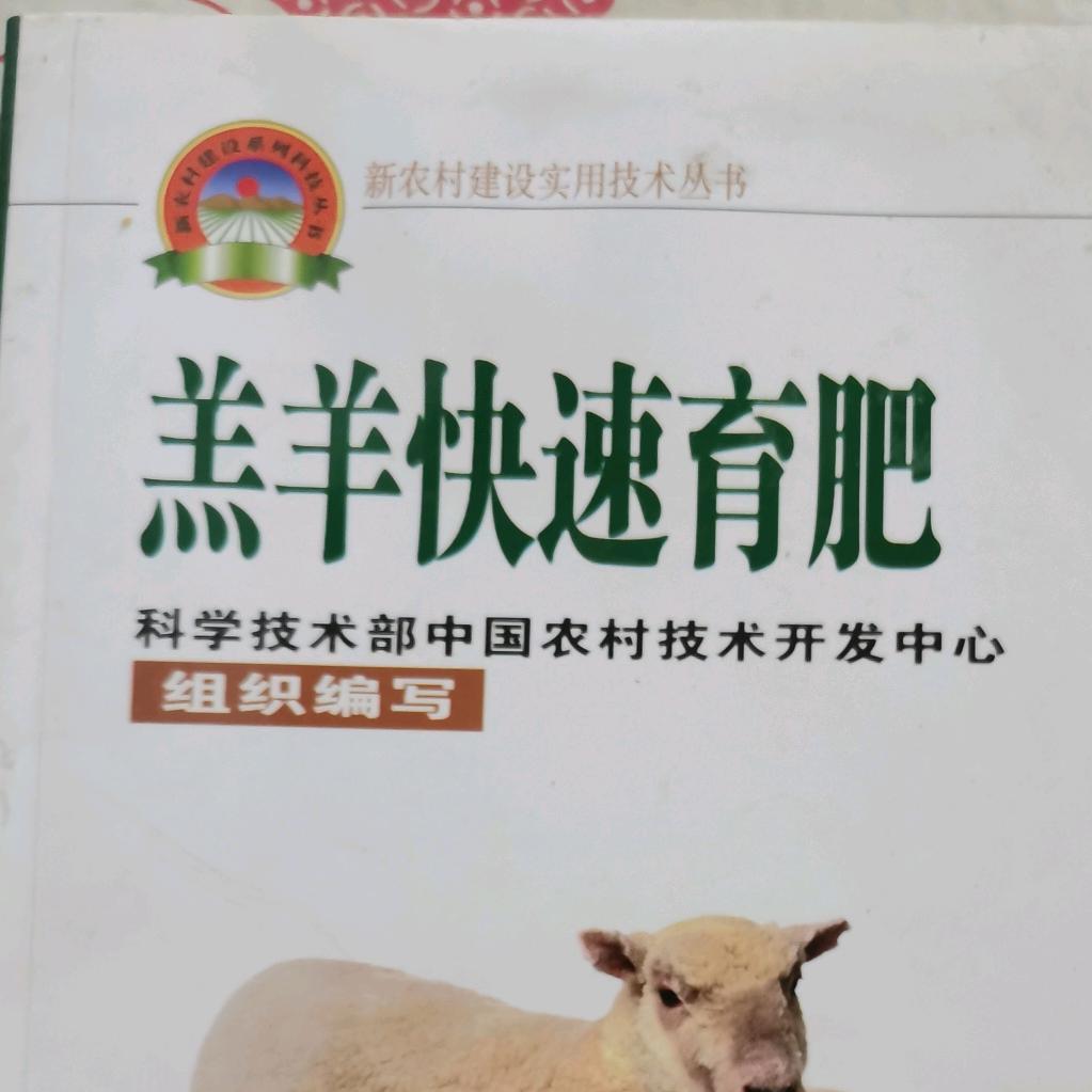 天涯