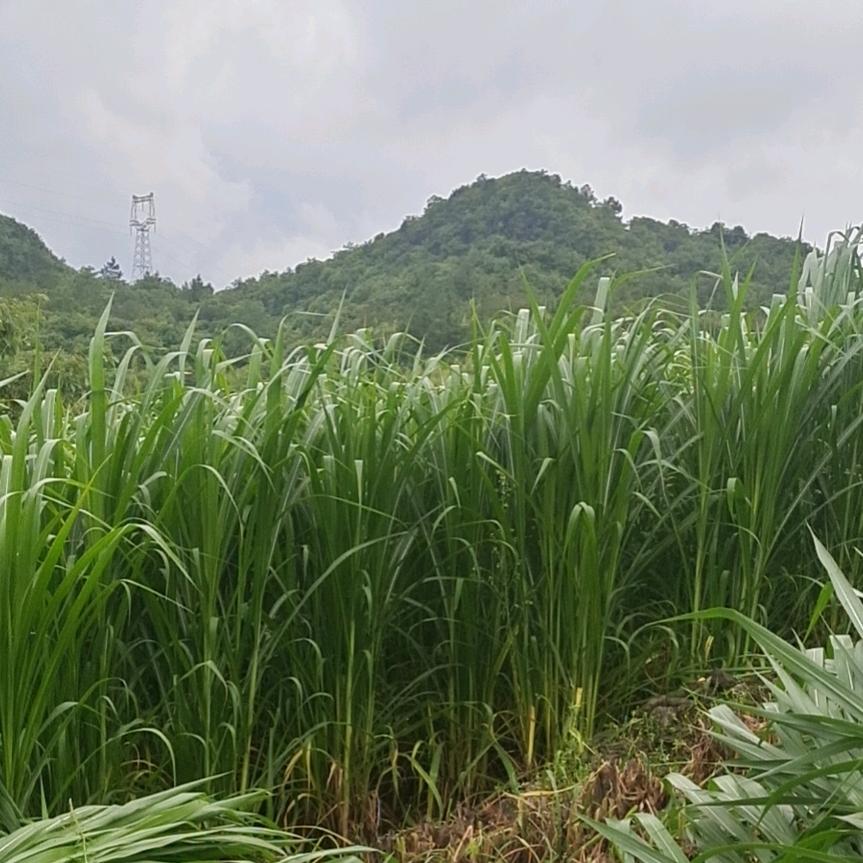 成功要靠你自己