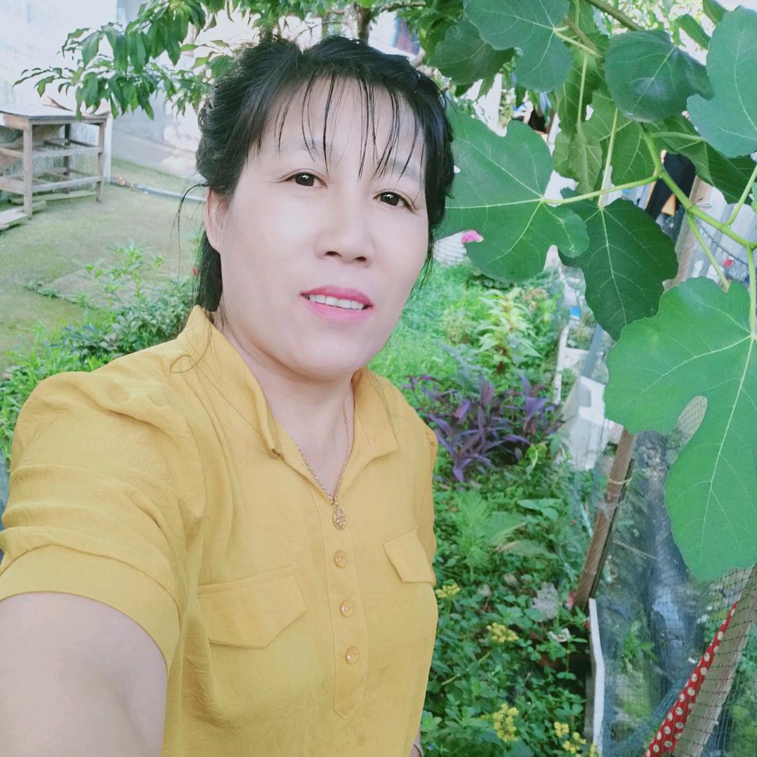 放猪八妹