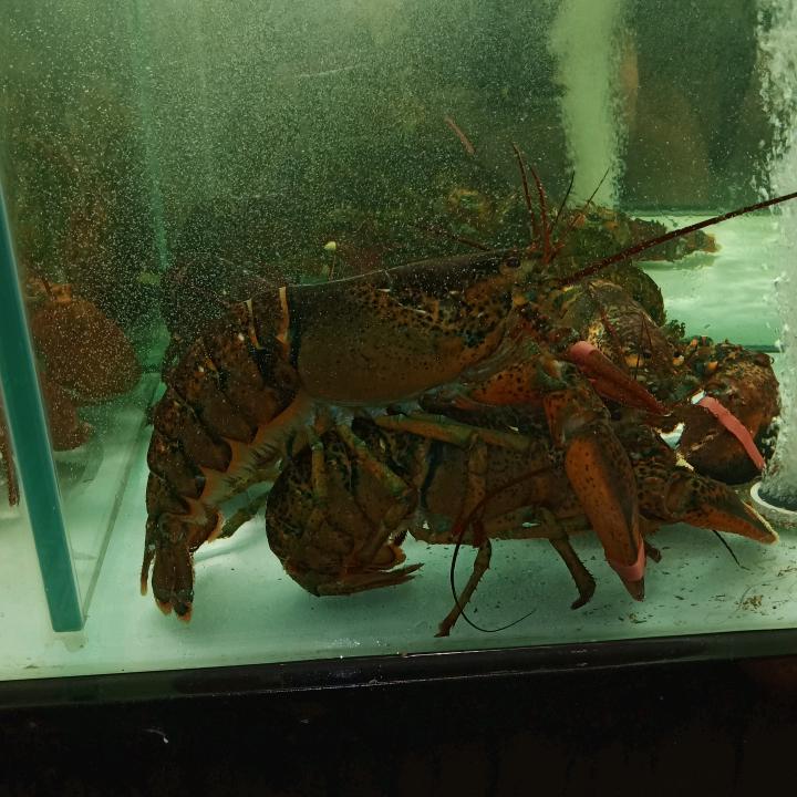 从今往后跟酒断绝关系