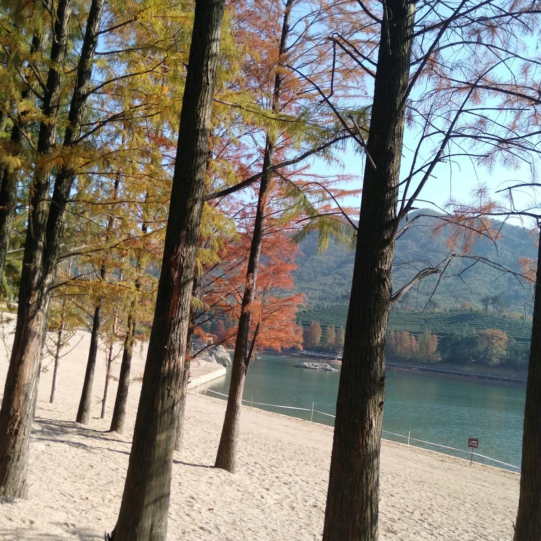 没有理想何必远方