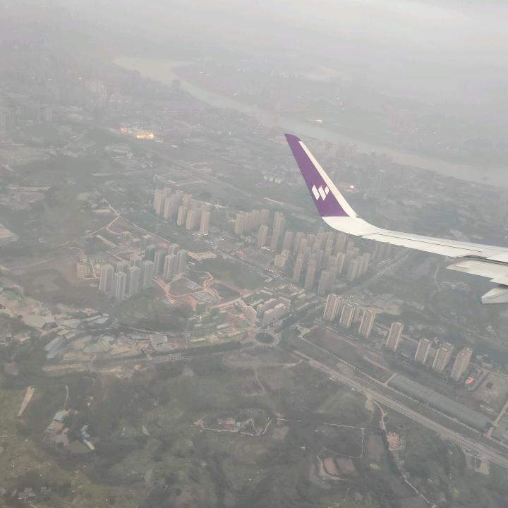 单只蝴蝶