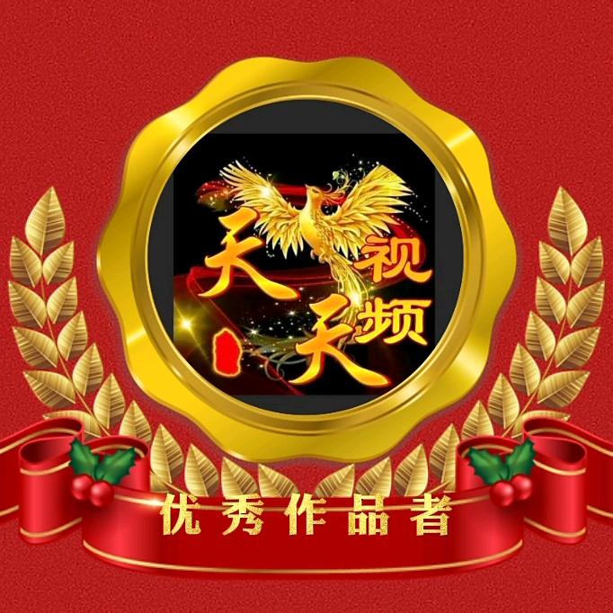 天天视频