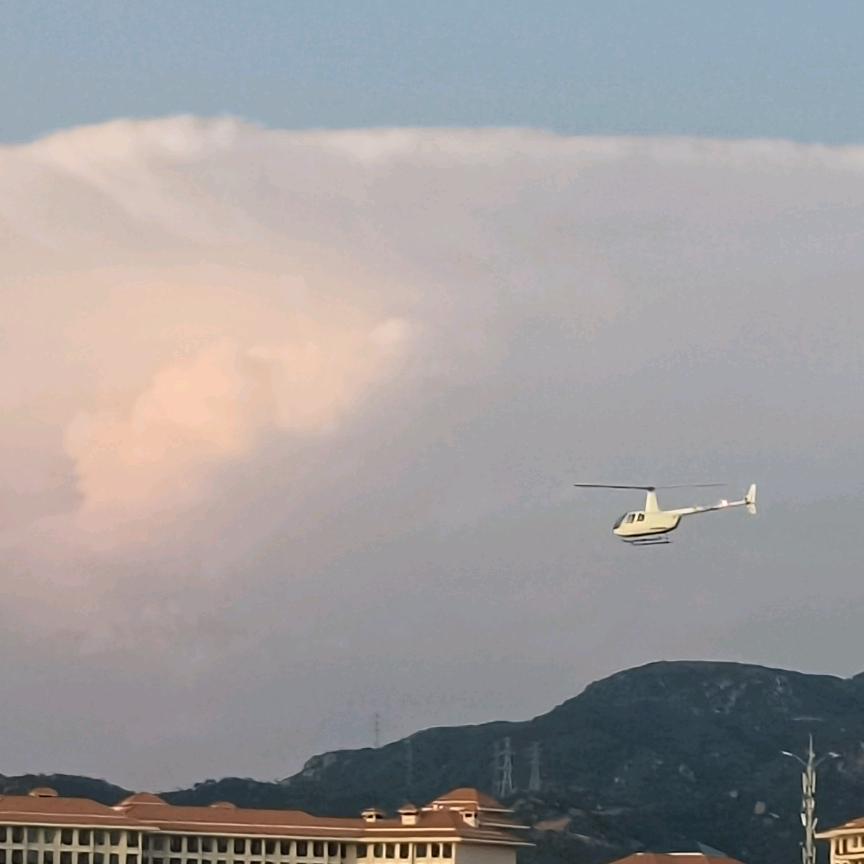 期待的璀璨人生