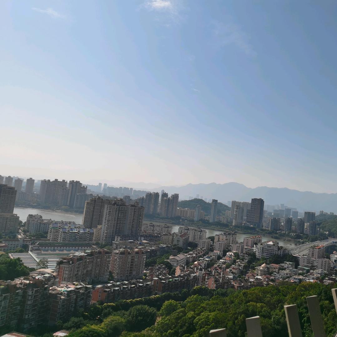 刺刺