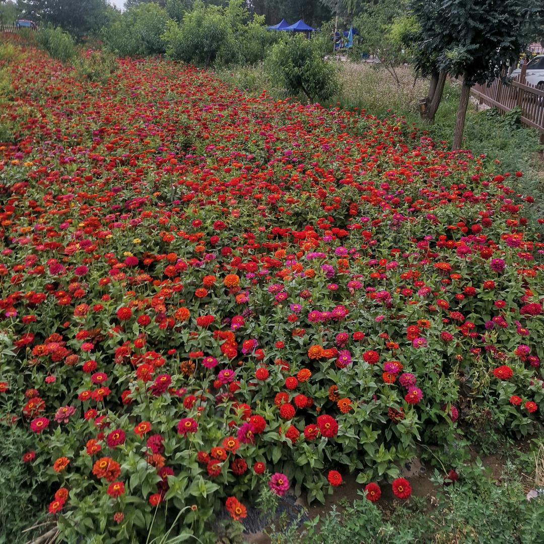 最耀眼的光芒