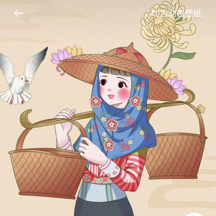 🎋菊花🌺