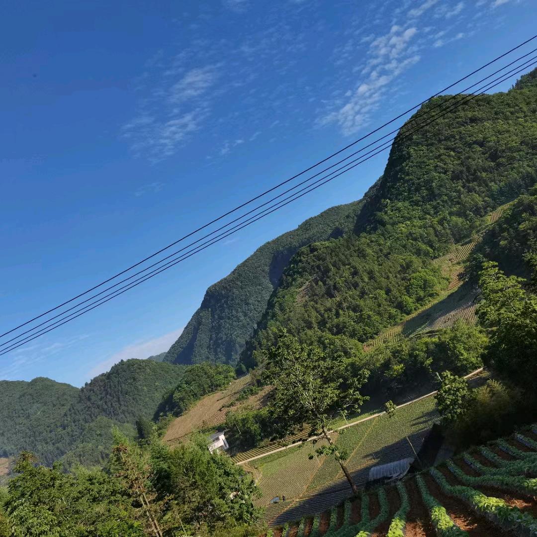 鄂硒水果哥
