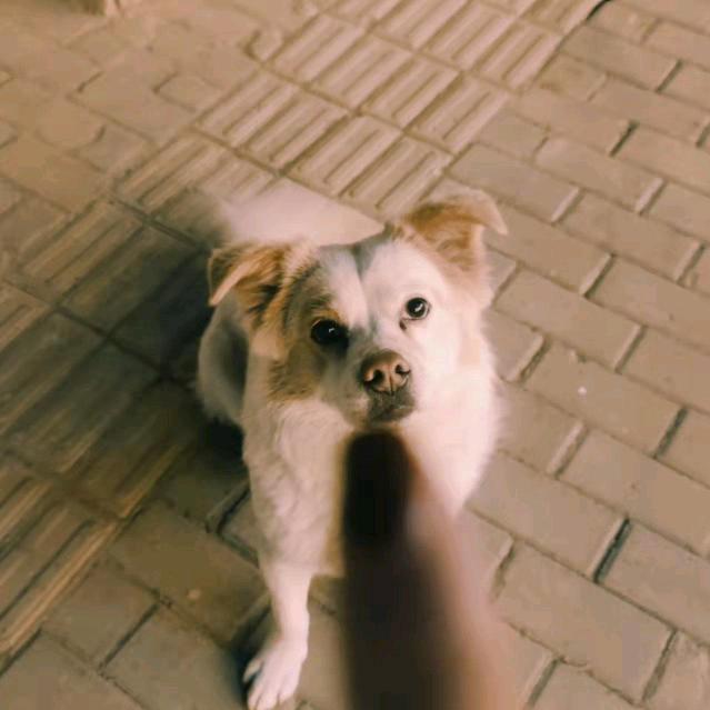 幸运星星⭐️幸运呀