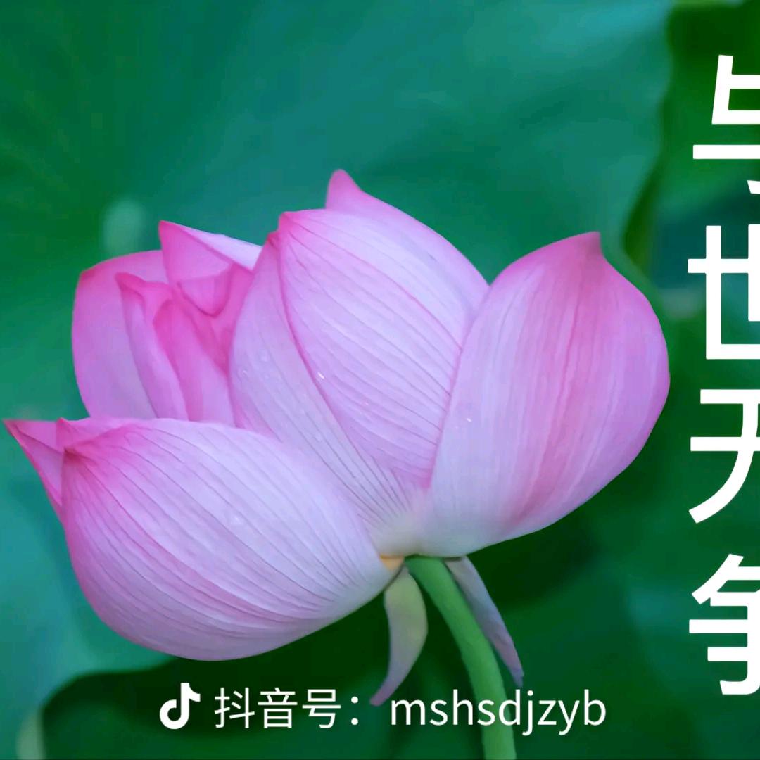 与世无争