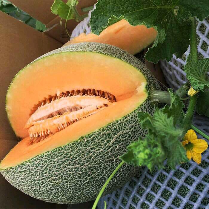 淄博 信和生鲜供应链