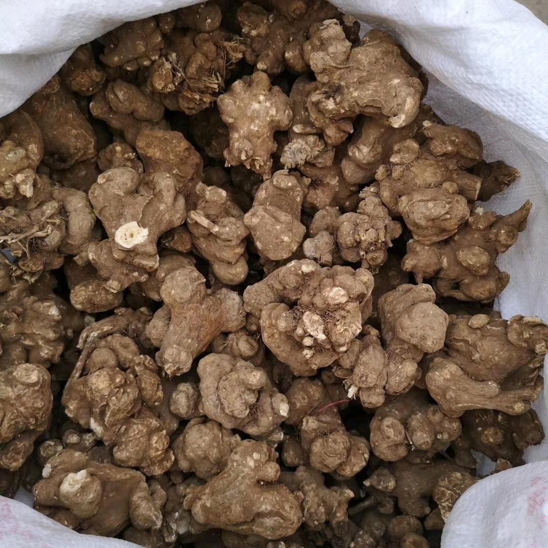 @璨莹药业王峰（白术大货购销）