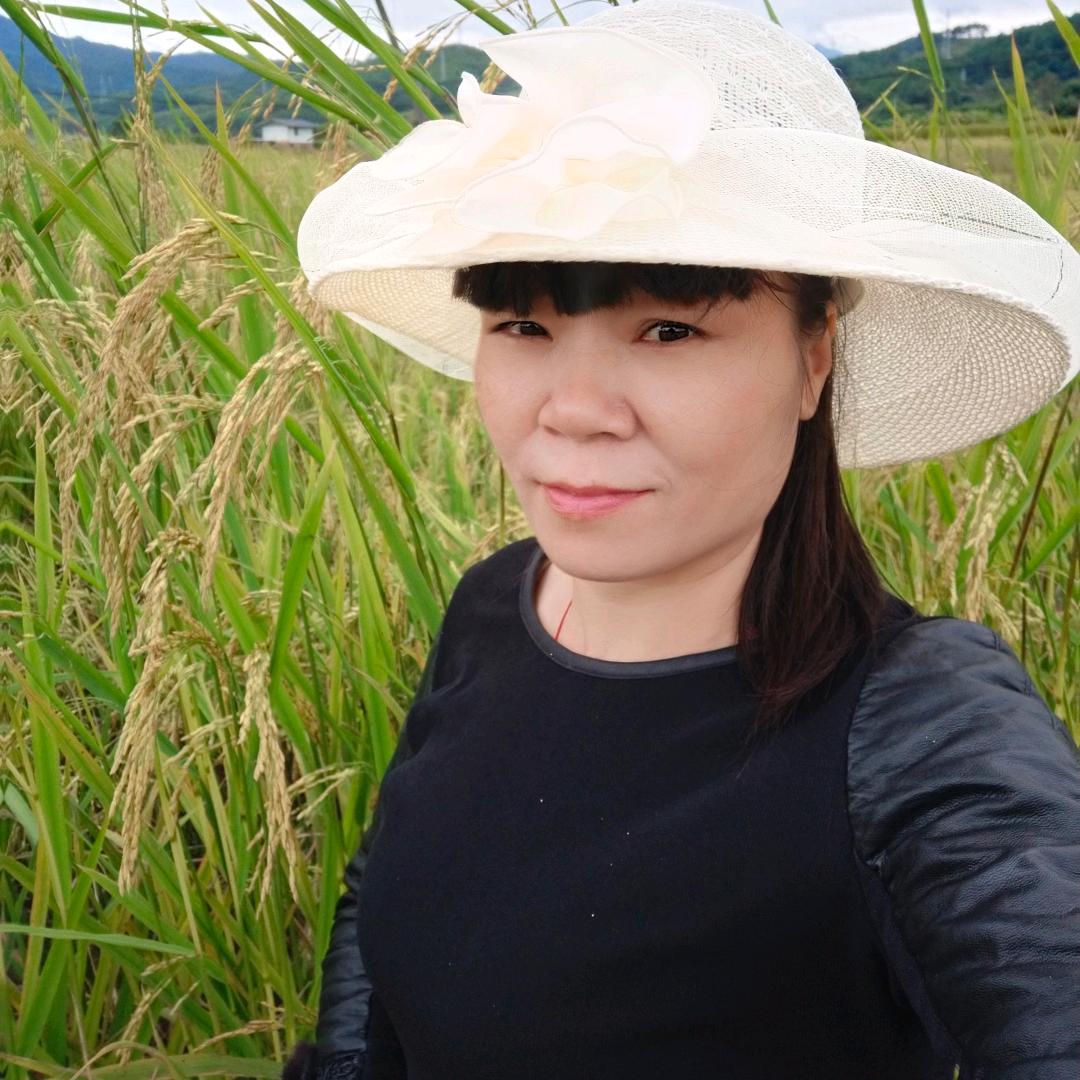 人生如梦