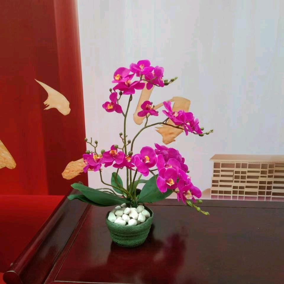 安氏推拿许师傅