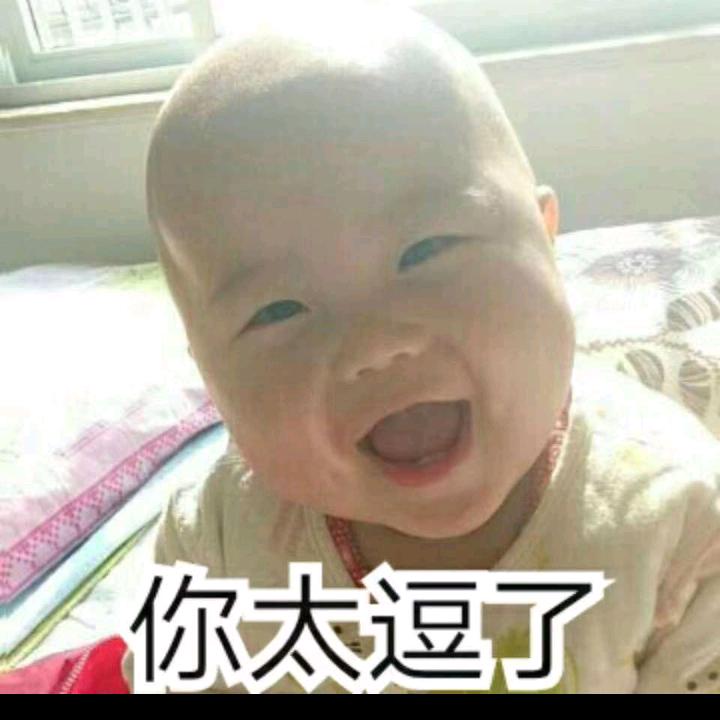 经文  向北走