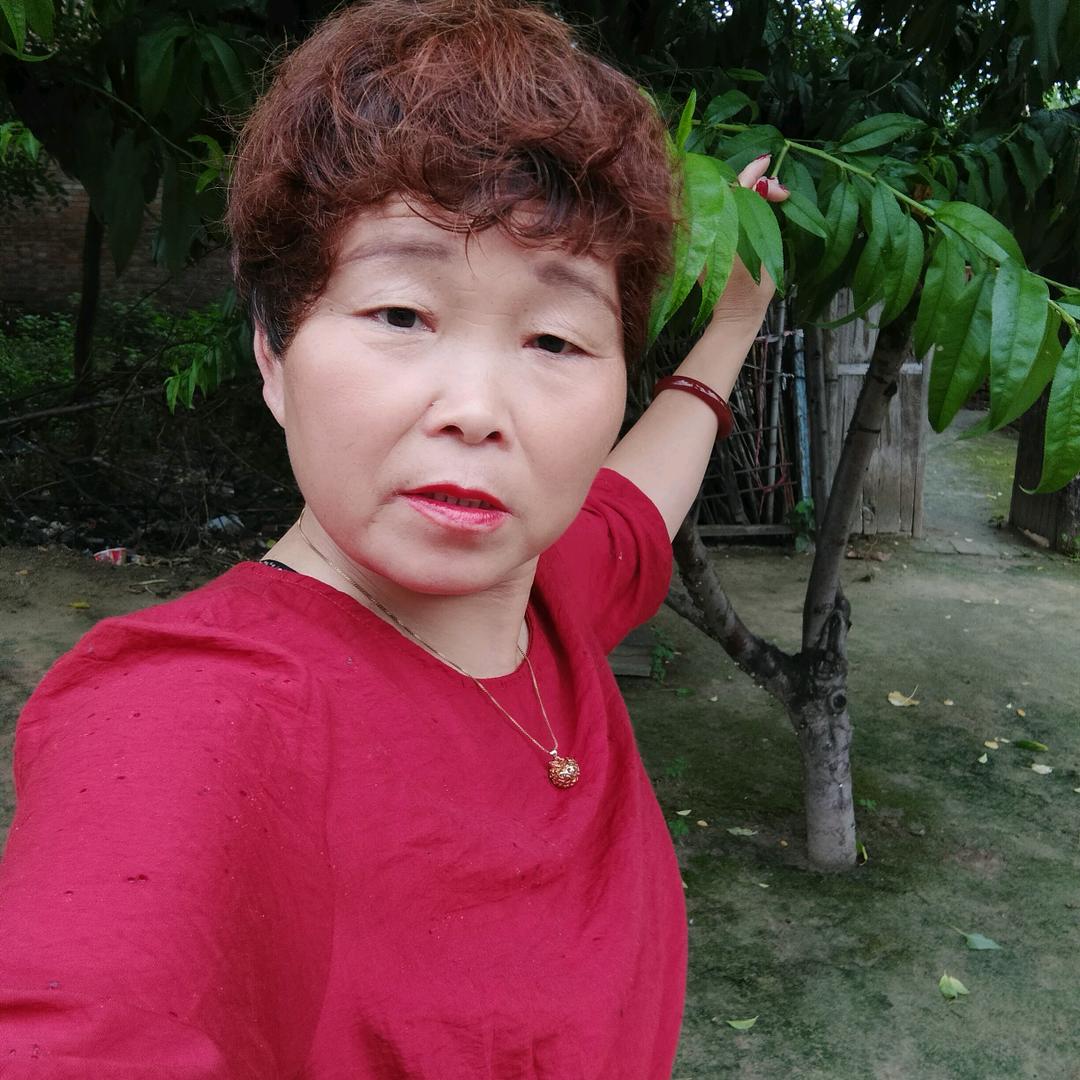 岁月如歌((阿姨))