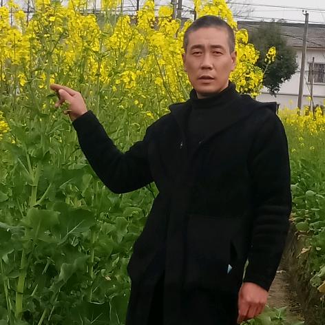 等风来