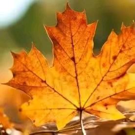 AAaa