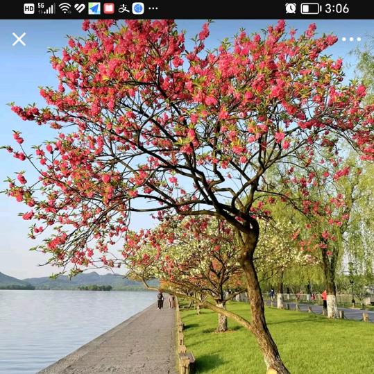 @幸福快乐