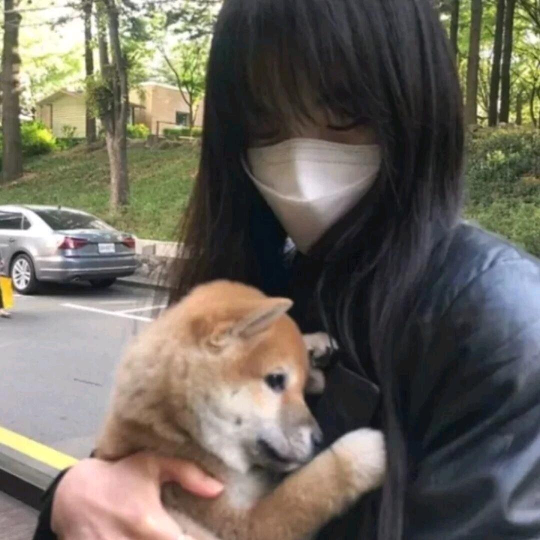 💞小怡酱