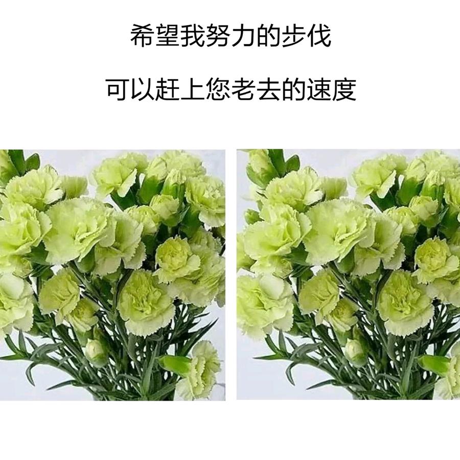 幸福美满