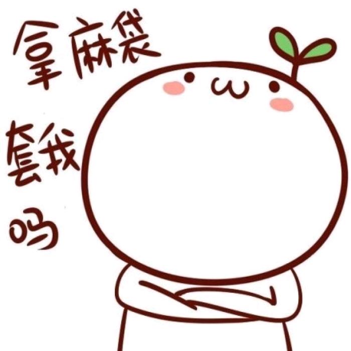 就是小扒菜