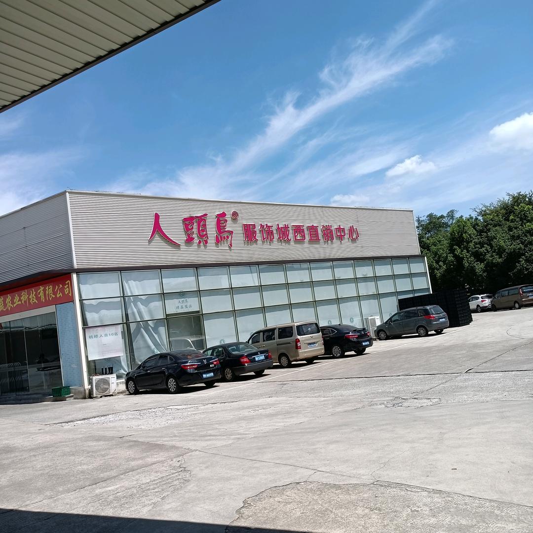 集士港人头鸟