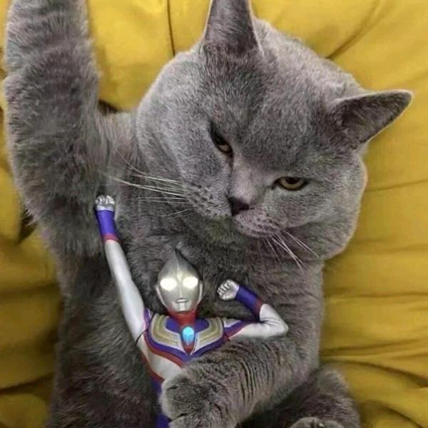 🌈闻闻闻闻闻闻丶