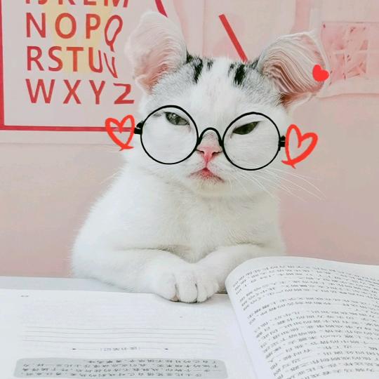 馋猫小顽子