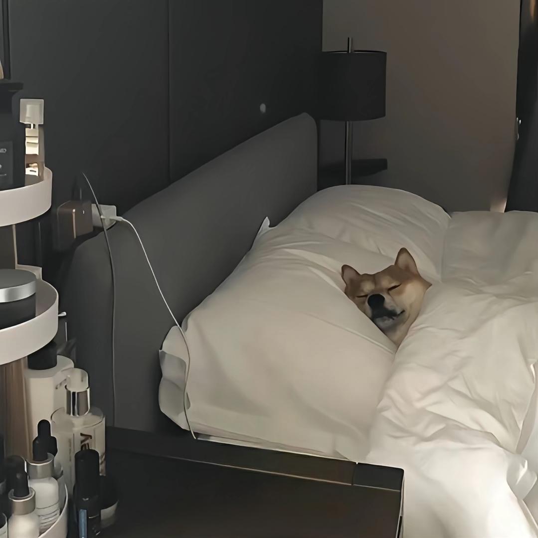 檀檀乐乐圈🔥🍩