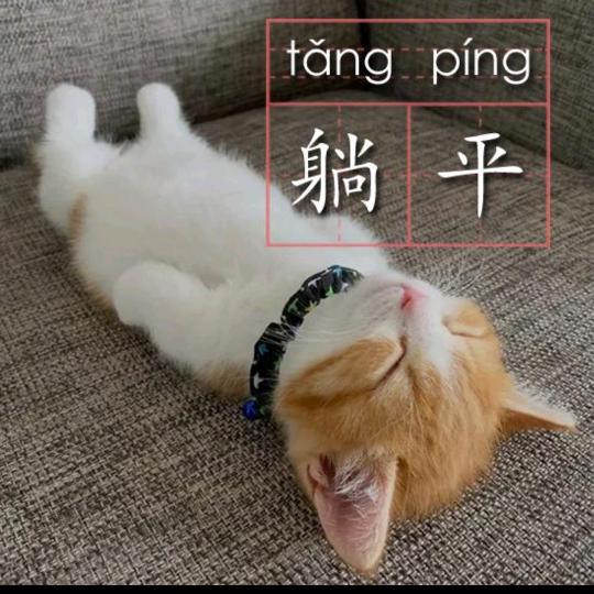 不好意思