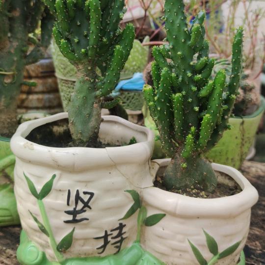 润物无声