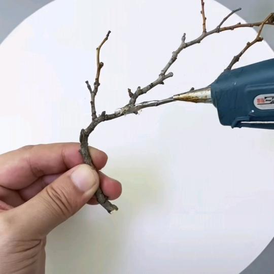 欣雨