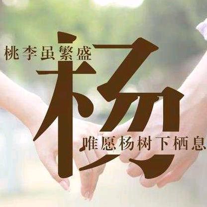 杨哥