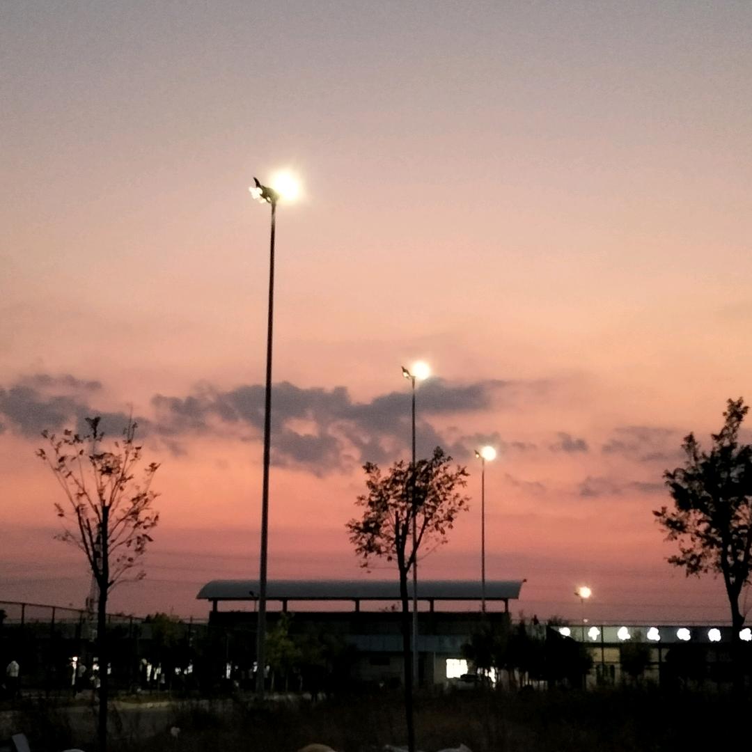 零碎小土豆