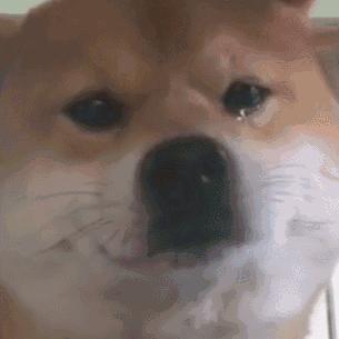 阿瓜瓜瓜