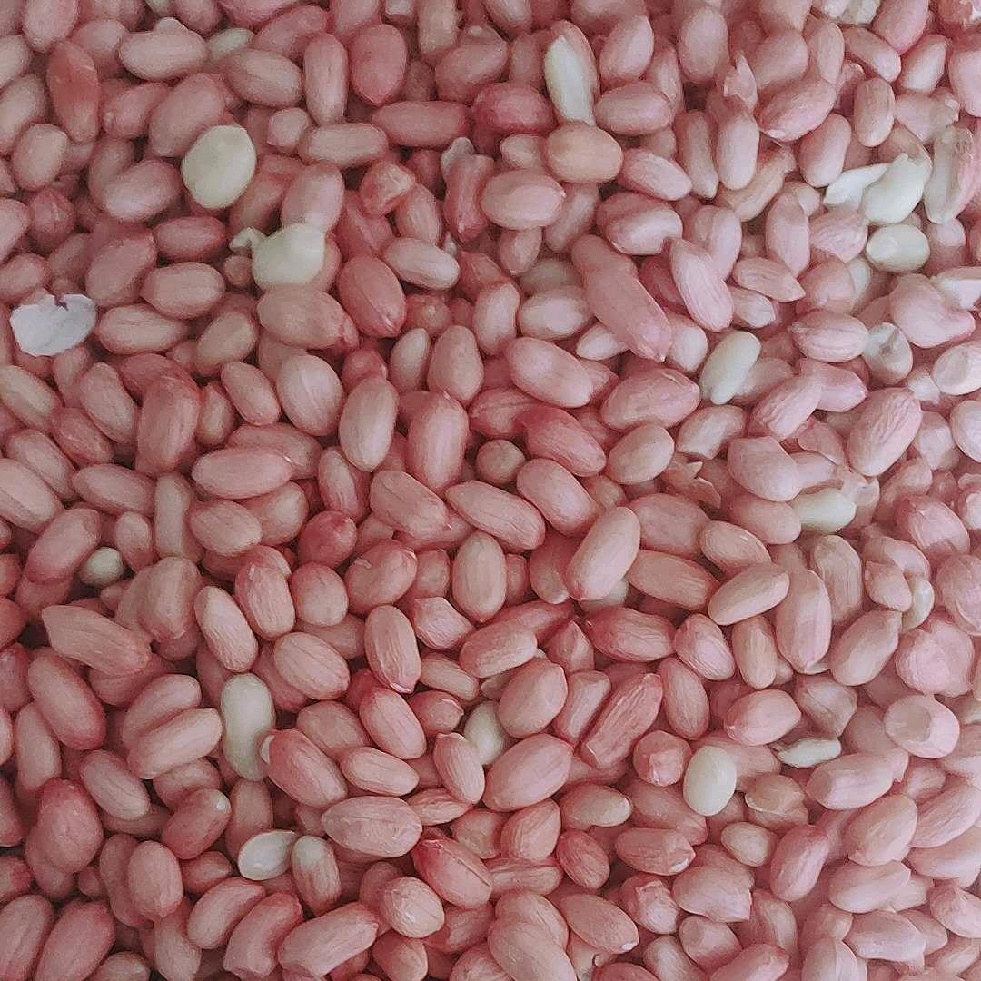 山东省优质榨油花生米专业批发