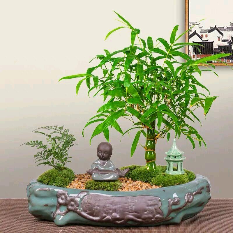简艺盆景园