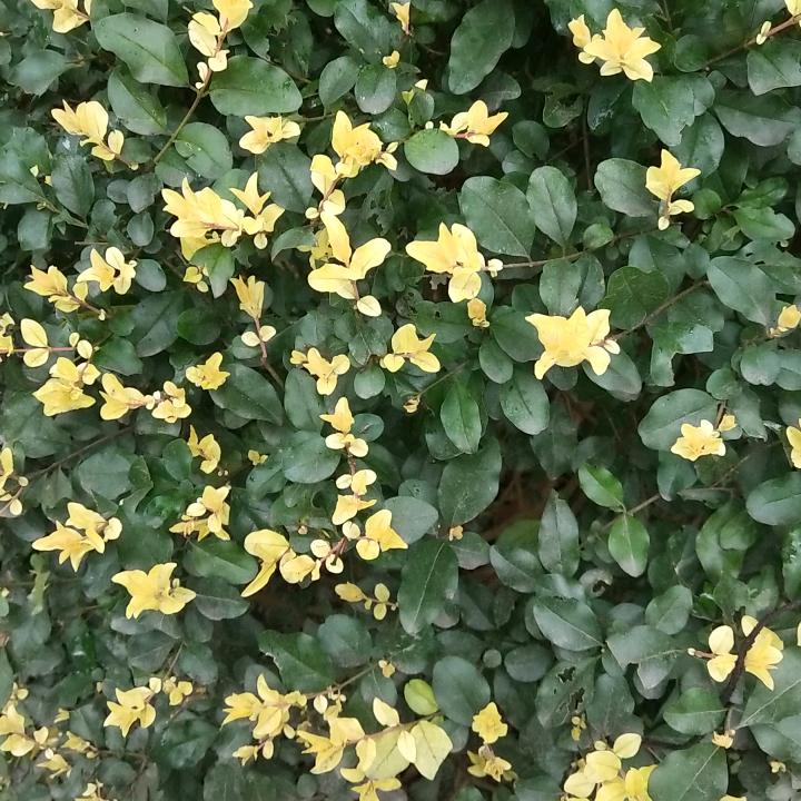 用户984618171060凌雲志