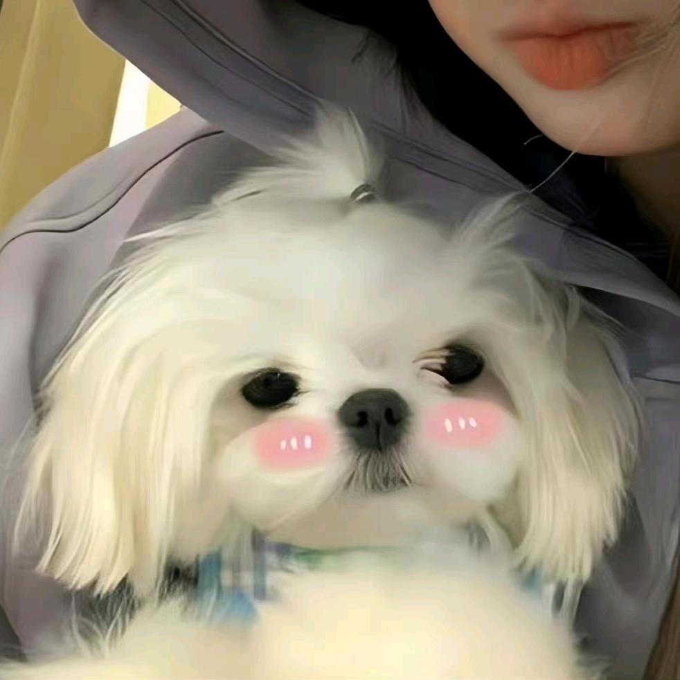 许爱之名相恋༠